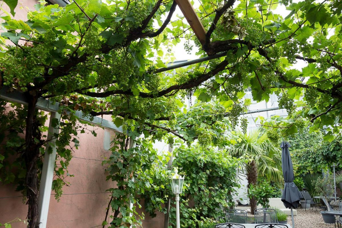 Hotel Garni Landhaus Zur Issel 이젤부르크 외부 사진